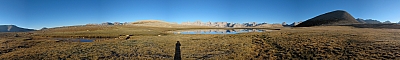 Bighorn Plateau
